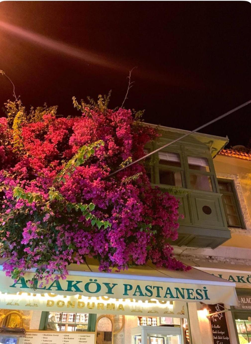 Mediha Hanim Konagi Alacati Кешме